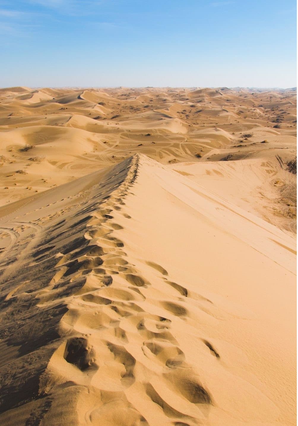 Day 7: Varzaneh to Isfahan – Half of the World on Ancient Legacies & Desert Dreams: A 12-Day Iran Journey