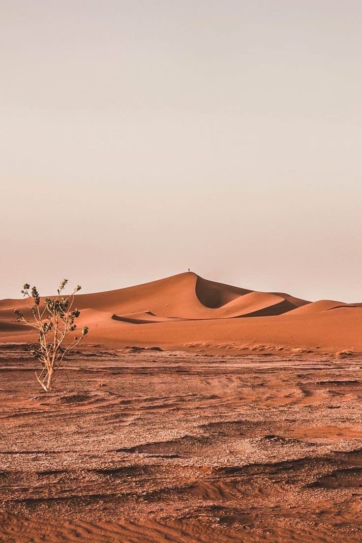 Day 4: Varzaneh → Yazd – Zoroastrian Heritage