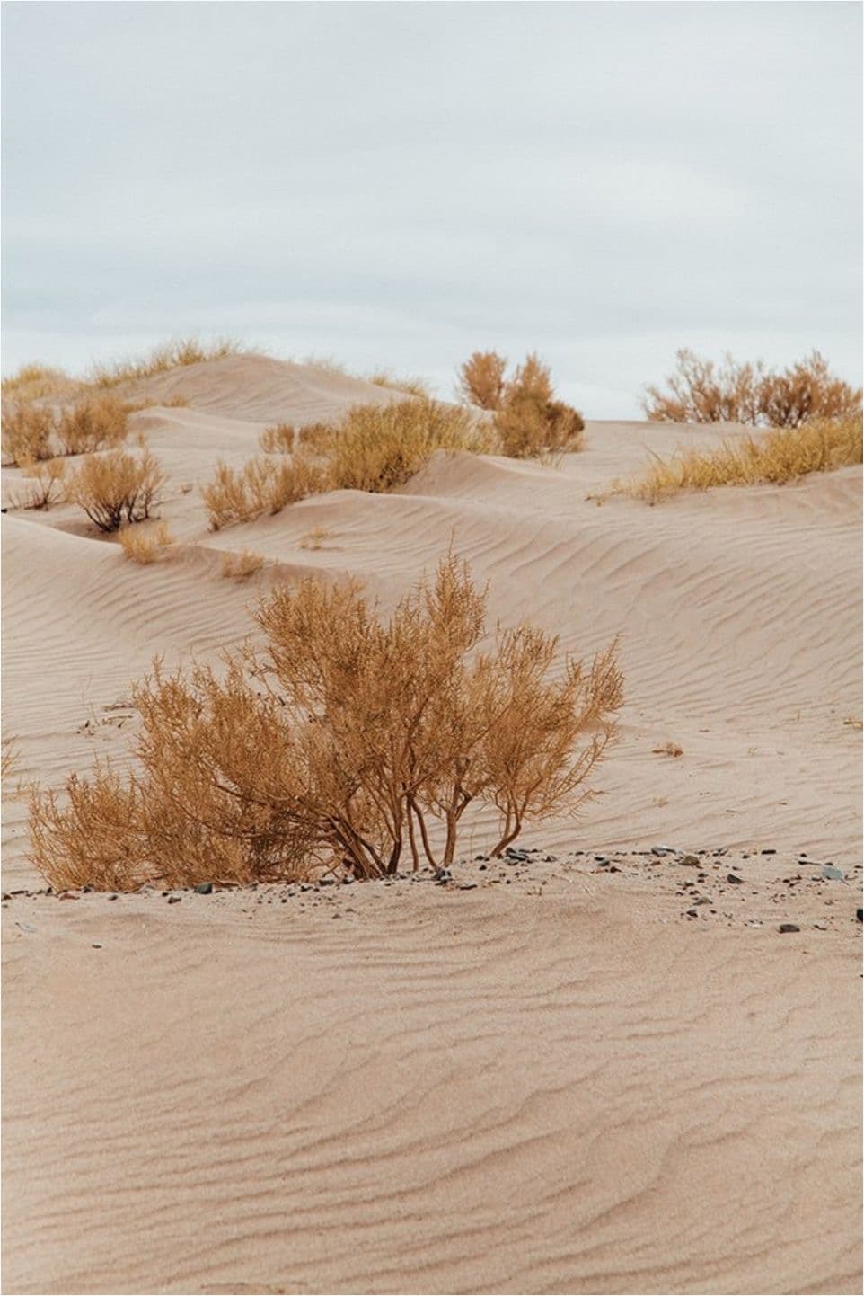 • Exploring the massive Lut Desert Kaluts near Shahdad.