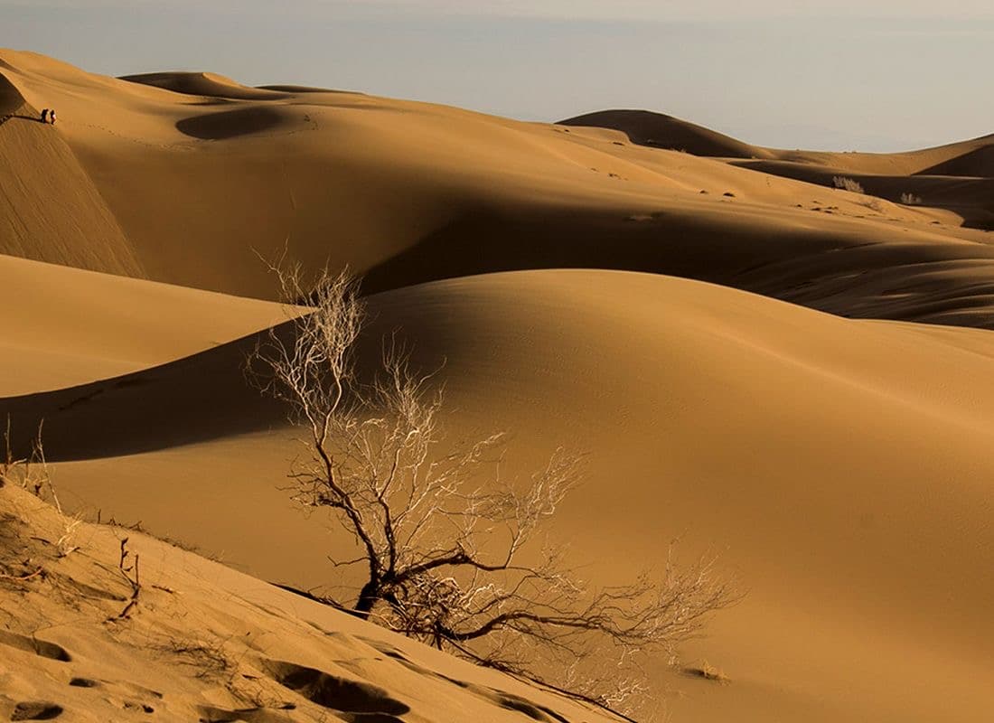  Golden Dunes & Blue Domes: A 7-Day Persian Discovery
