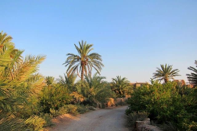 Encounters with artisans & village life on Kerman & Desert Caravanserais | A 6-Day Cultural Adventure