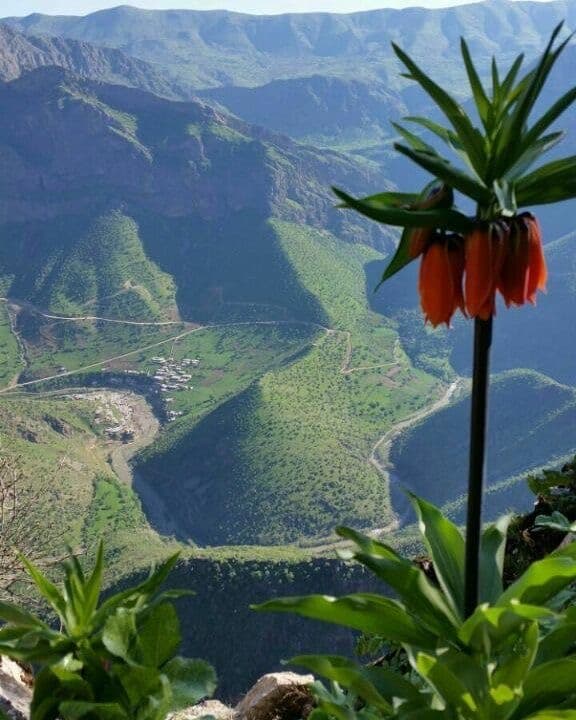 • Village experiences in Sar Agha Seyyed and Shahr-e Kord