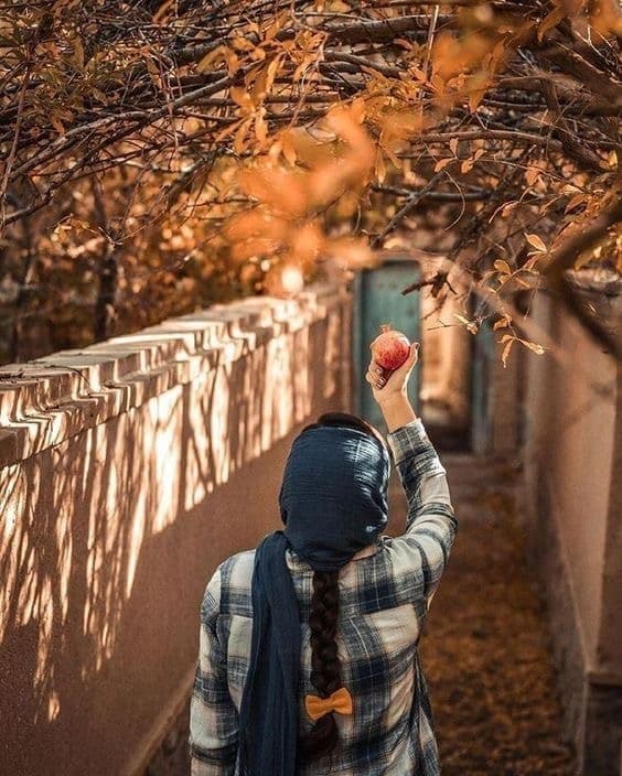 • Golden-hour photography across diverse landscapes