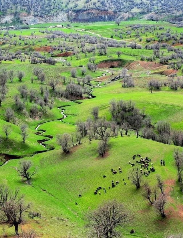 Iran travel inspiration - desert landscape