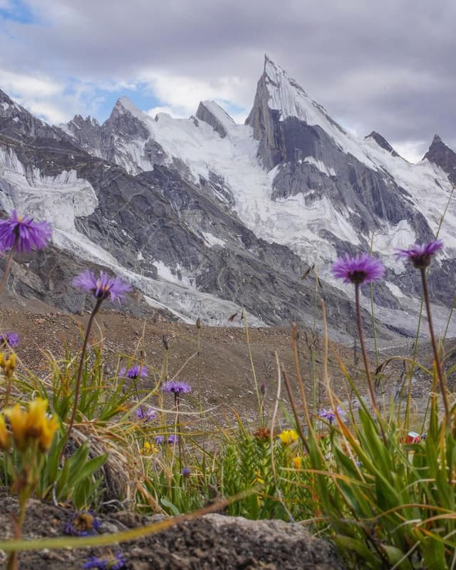 Caspian to Alborz: A 9-Day Nature & Culture Expedition