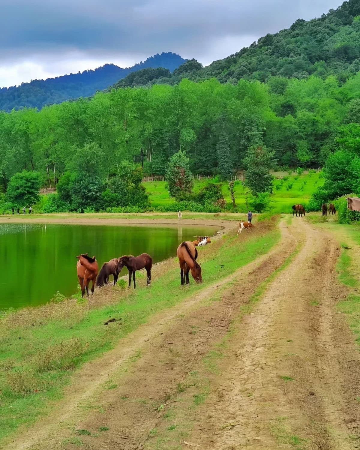  Northern Iran: Caspian Culture & Nature | 7-Day Journey