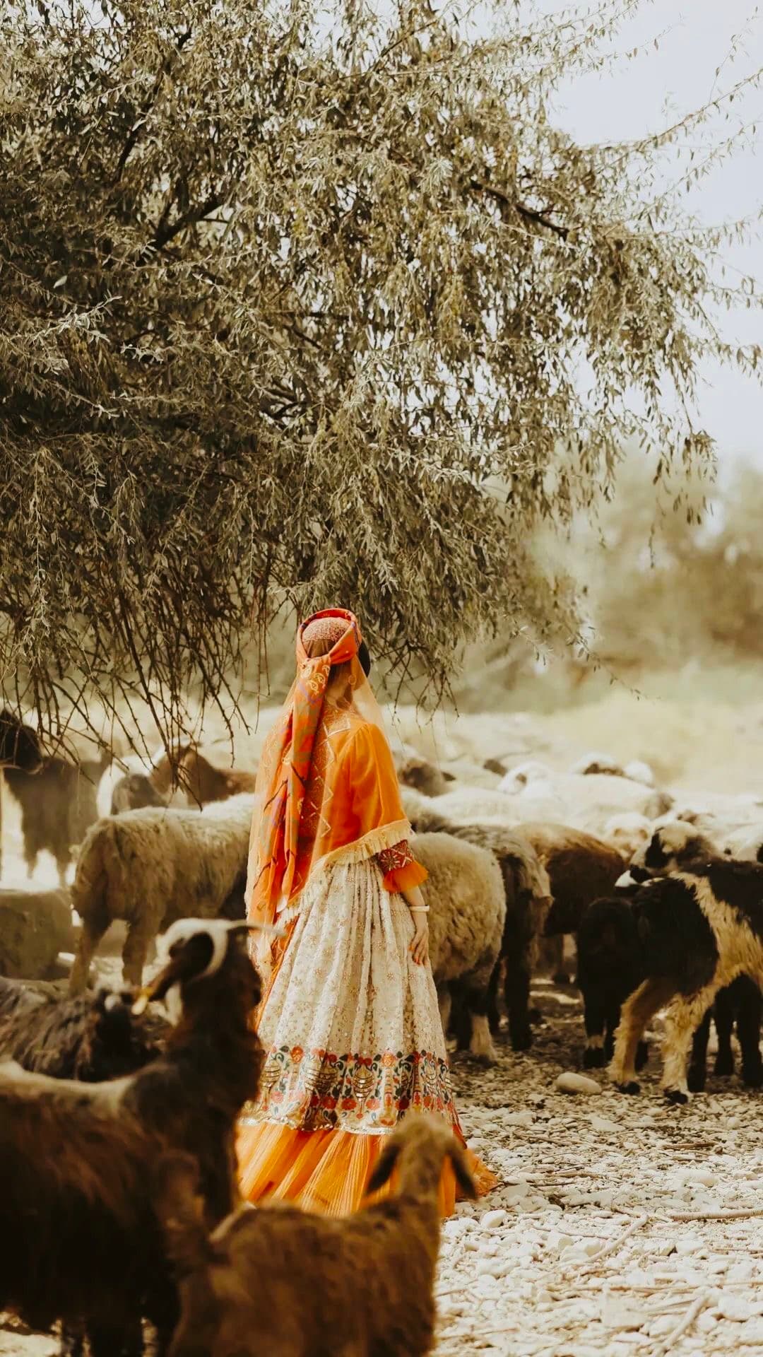 Nomadic Life & Anthropology Iran 10 Day Group Tour