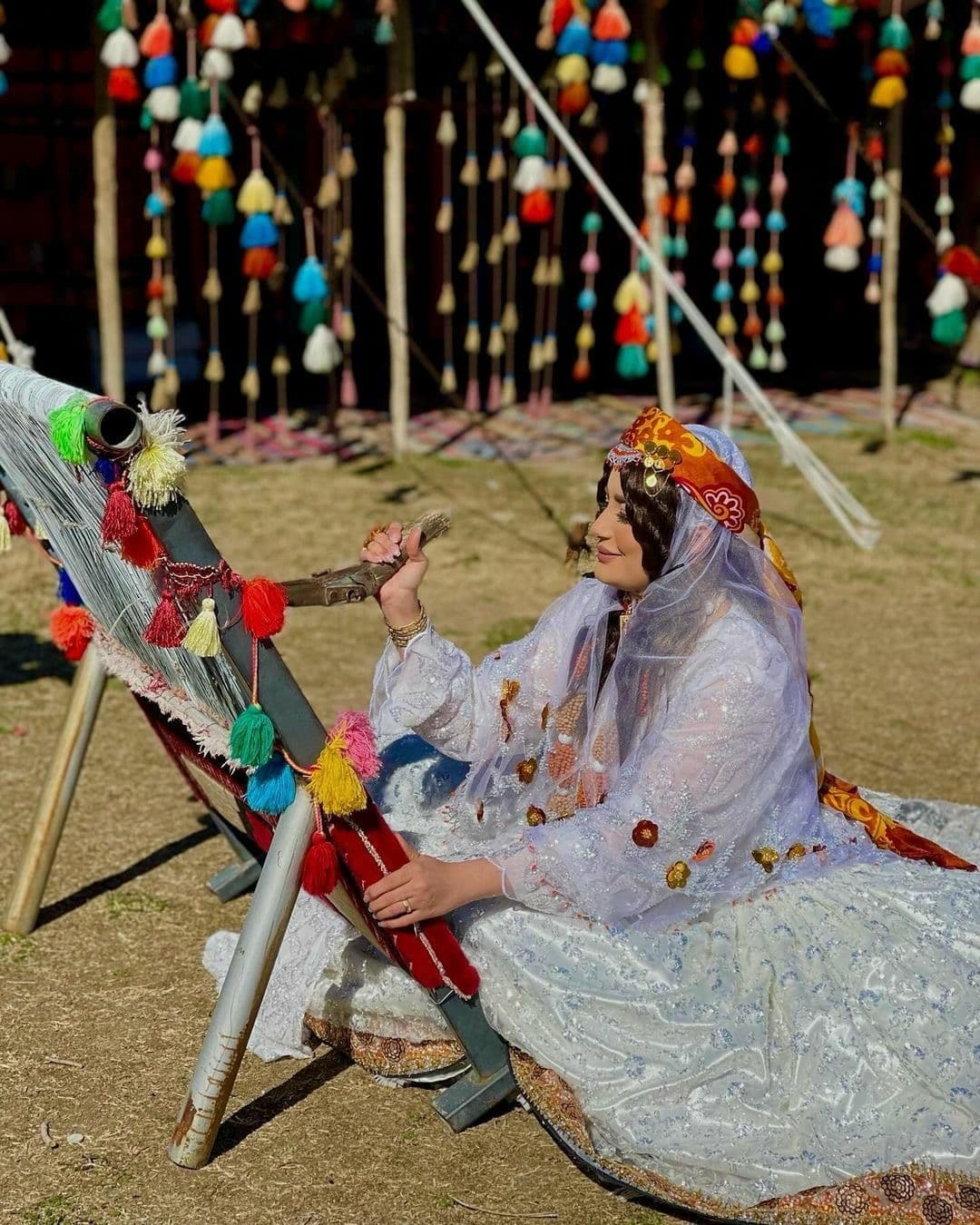 Day 11: Shiraz – Nomadic Experience on Ancient Legacies & Desert Dreams: A 12-Day Iran Journey