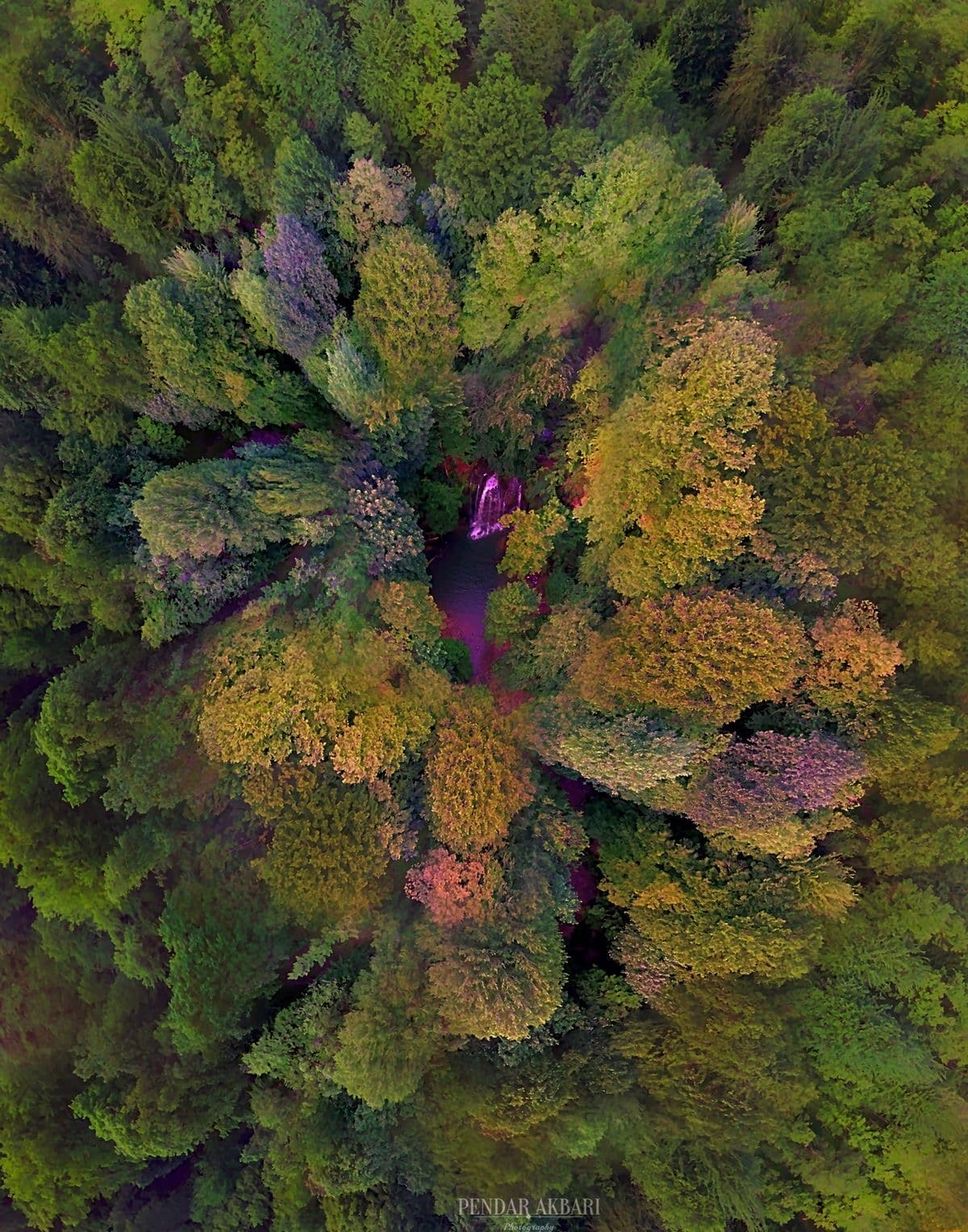 UNESCO-listed Hyrcanian forests with hiking adventures on Caspian to Alborz: A 9-Day Nature & Culture Expedition