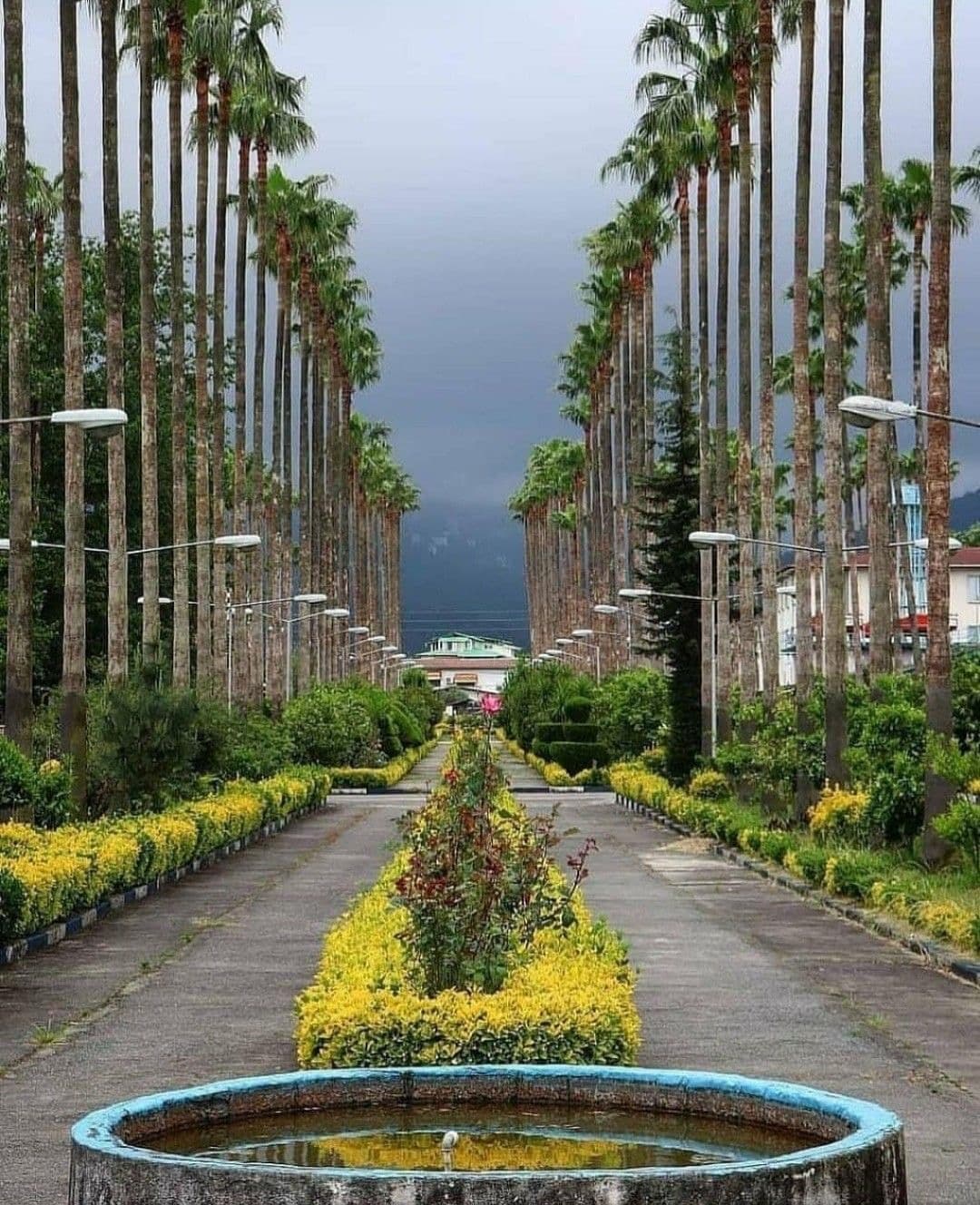 Day 2: Tehran to Ramsar – Caspian Coastline