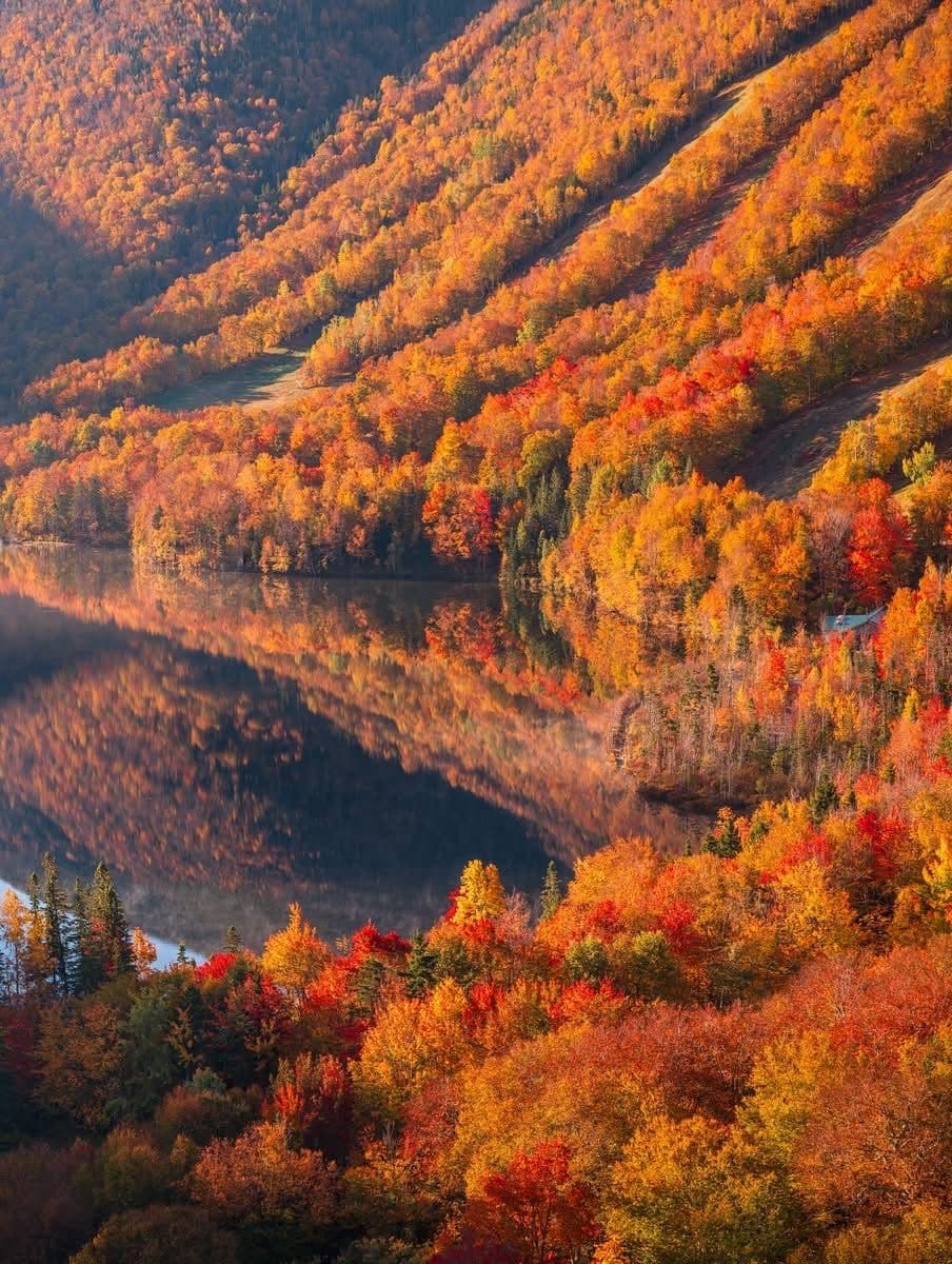 Day 4: Hyrcanian Forests – Nature Immersion