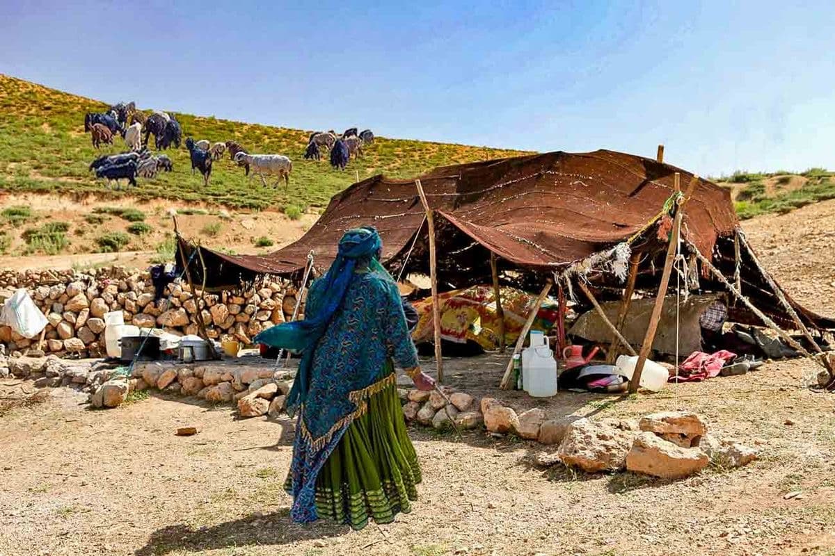 Nomadic Lifestyle– Stay with Iranian nomads in traditional black tents (Siah Chador). on Nomads & Peaks of Zagros – A Journey into Iran’s Nomadic Heart