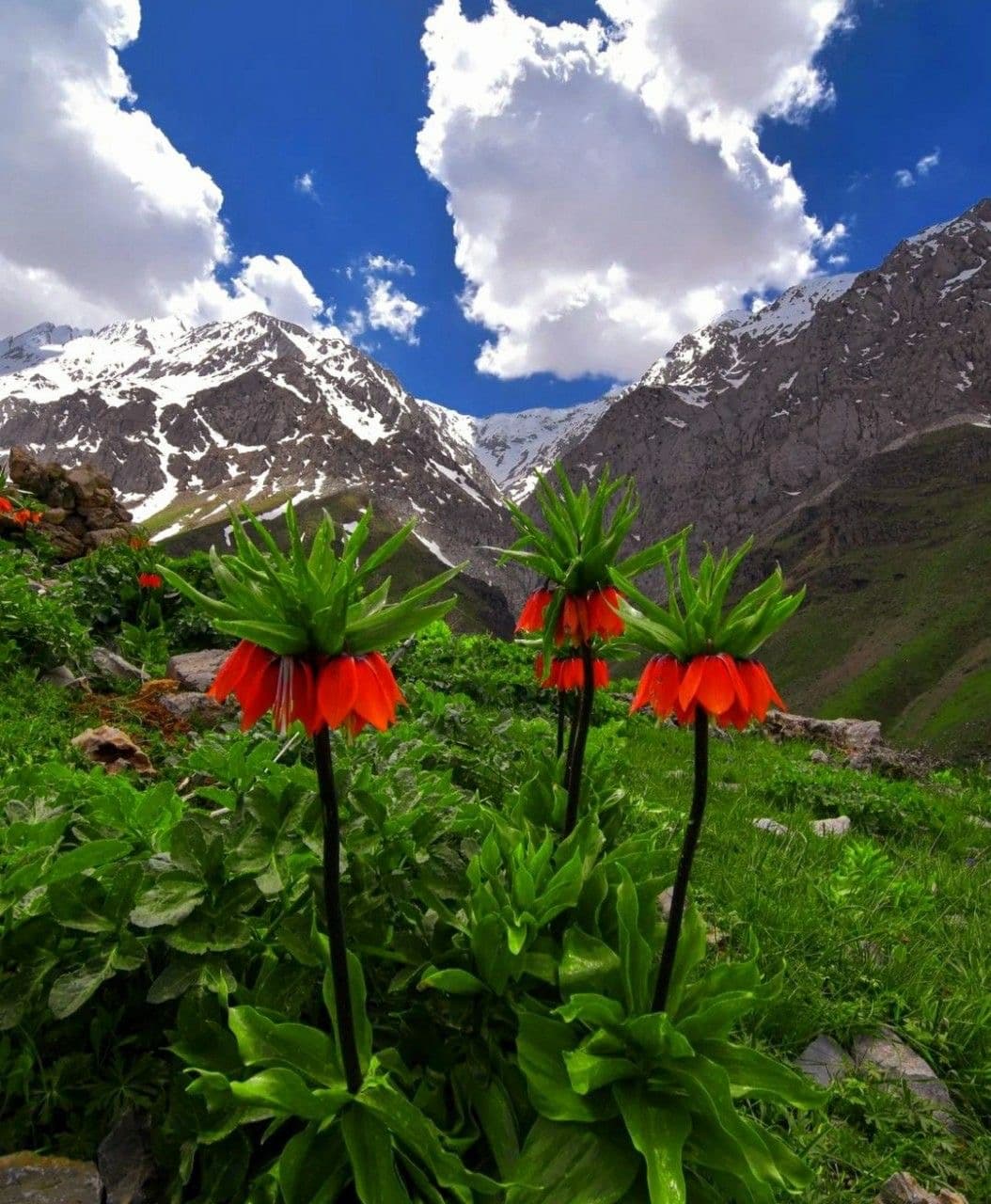 Nomads & Peaks of Zagros – A Journey into Iran’s Nomadic Heart