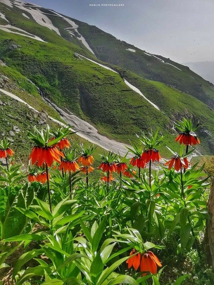 Day 2 – Hiking the Zagros