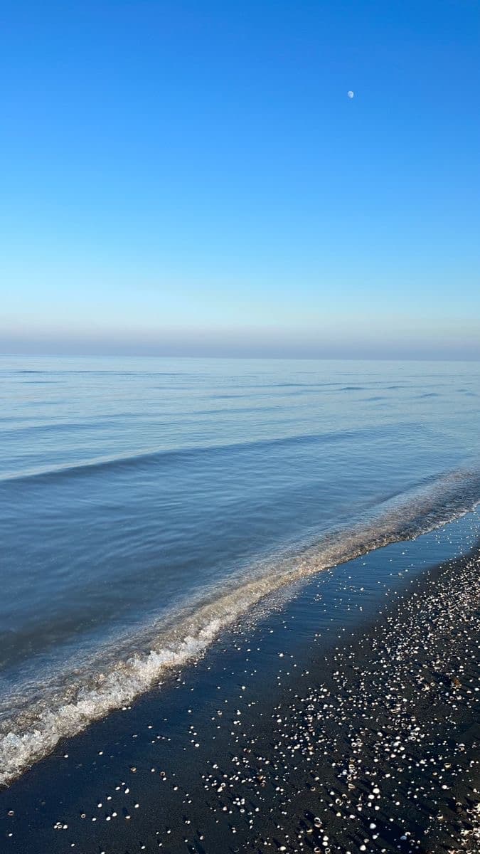 Caspian Sea culture & Anzali Lagoon on Northern Iran: Caspian Culture & Nature | 7-Day Journey