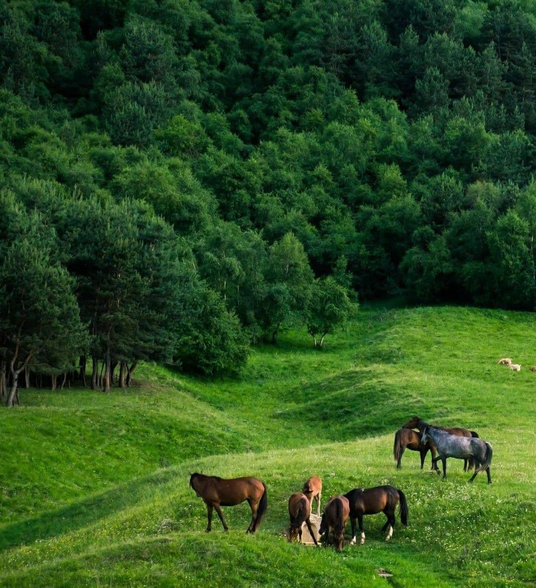 Day 3 – Alamut Exploration & Drive to Rasht