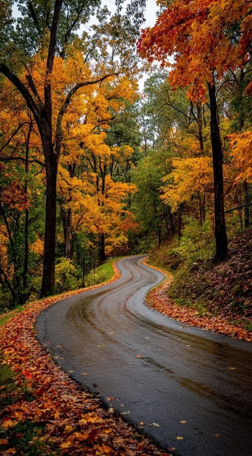 The scenic Chalous mountain road on Northern Iran: Caspian Culture & Nature | 7-Day Journey