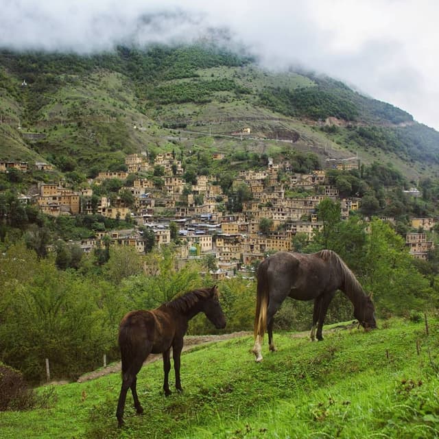 Masuleh